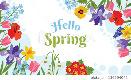 Spring greeting card with a colorful spring flowers and leaves, organic shapes and halftone dots framing the text Hello Spring. 136394043