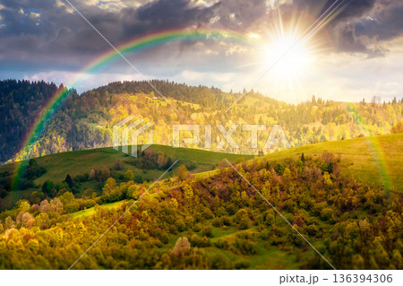rural area in mountain landscape at sunset. deciduous forest on a steep green hill. alpine countryside scenery during spring in evening dappled light. remote highland under the rainbow 136394306