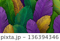 Colorful feathers in green, purple, and gold create an abstract background for Mardi Gras, symbolizing carnival and the farewell to winter. 136394346