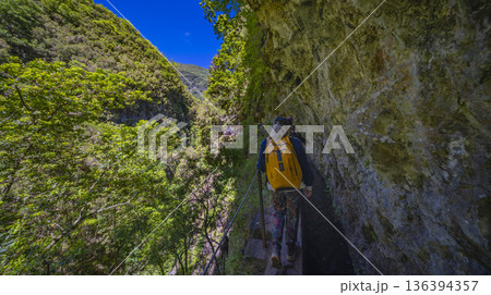 Levada do Caldeirao Verde, Madeira, Portugal 136394357