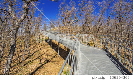 Viewpoint of Penas LLanas, Spain 136394363