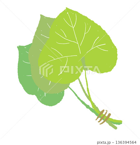 複数のわさびの葉のイラスト ハート型の新鮮な葉っぱ素材 複数のわさびの葉のイラスト ハート型の新鮮な葉っぱ素材 136394564