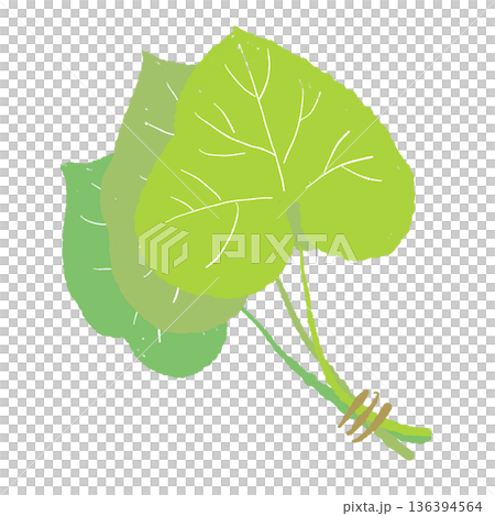 複数のわさびの葉のイラスト ハート型の新鮮な葉っぱ素材 複数のわさびの葉のイラスト ハート型の新鮮な葉っぱ素材 136394564