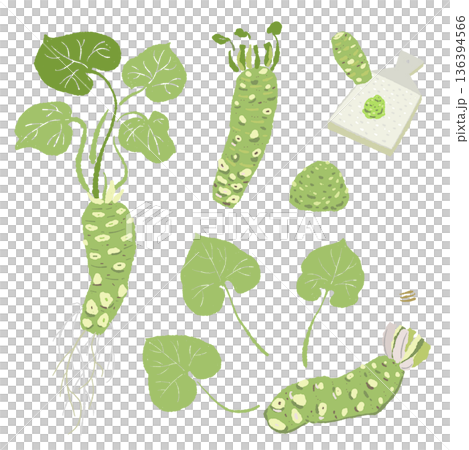 わさびと薬味のセットイラスト 根・葉・おろし金・大葉・ゴマの詰め合わせ 136394566