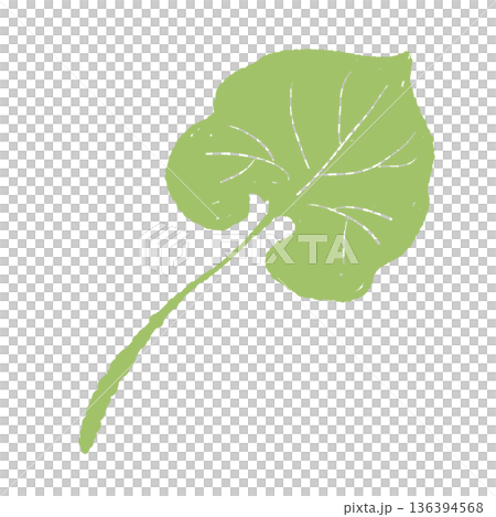 わさびの葉のイラスト 特徴的なハート型の葉の素材 わさびの葉のイラスト 特徴的なハート型の葉の素材 136394568