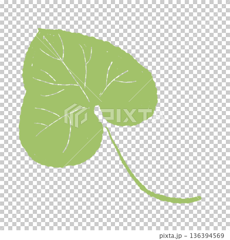 葉脈が描かれたわさびの葉のイラスト リアルなタッチの葉素材 葉脈が描かれたわさびの葉のイラスト リアルなタッチの葉素材 136394569