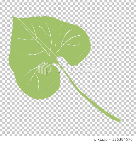 少し欠けたわさびの葉のイラスト 自然な風合いの葉素材 少し欠けたわさびの葉のイラスト 自然な風合いの葉素材 136394570