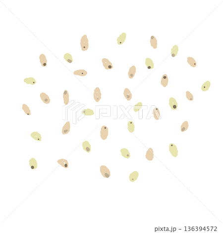 白ごまのイラスト 料理の仕上げや薬味に使うゴマの粒 136394572