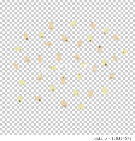 Illustration of white sesame seeds Sesame seeds used as a finishing touch or condiment for cooking Illustration of white sesame seeds Sesame seeds used as a finishing touch or condiment for cooking 136394572