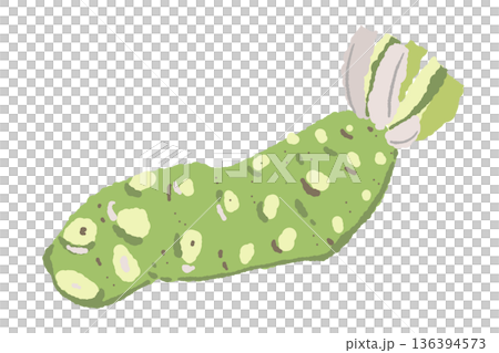 Illustration of real wasabi (rhizome) A fresh, chunky single wasabi 136394573