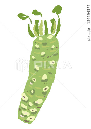 わさびの株のイラスト 葉と根が付いた栽培状態の全体像 わさびの株のイラスト 葉と根が付いた栽培状態の全体像 136394575