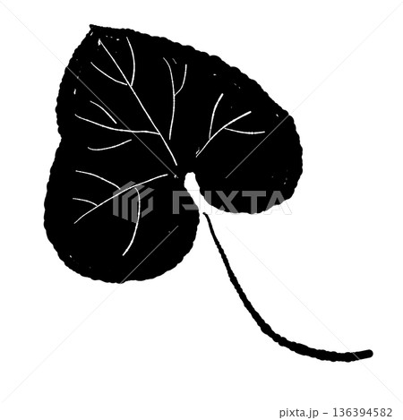 葉脈が描かれたわさびの葉のモノクロイラスト リアルなタッチのシルエット素材 葉脈が描かれたわさびの葉のモノクロイラスト リアルなタッチのシルエット素材 136394582