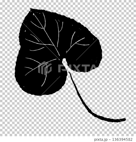 葉脈が描かれたわさびの葉のモノクロイラスト リアルなタッチのシルエット素材 葉脈が描かれたわさびの葉のモノクロイラスト リアルなタッチのシルエット素材 136394582