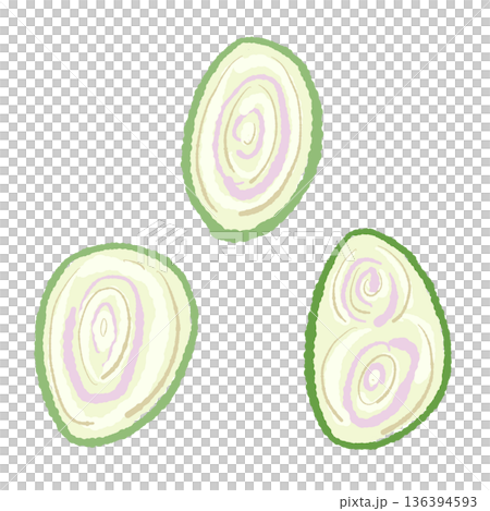 檸檬草切片（橫切面）示意圖，顯示了其獨特的紫色層。 136394593