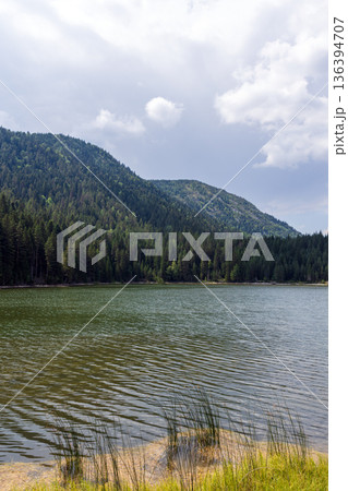 A tranquil mountain lake sits beside dense pine forest 136394707