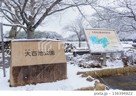 【千葉県千葉市】雪の降る大百池公園 136394822