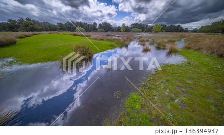 Lagunas de Cantalejo Special Protection Area, Spain 136394937