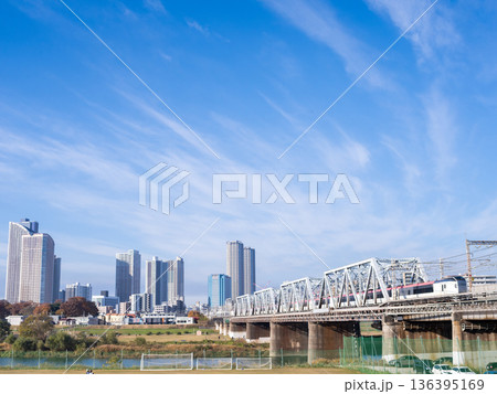 【横須賀線】早朝の東京方面へ向かう成田エクスプレス 136395169