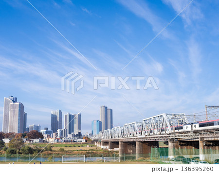 【横須賀線】早朝の東京方面へ向かう成田エクスプレス 136395260
