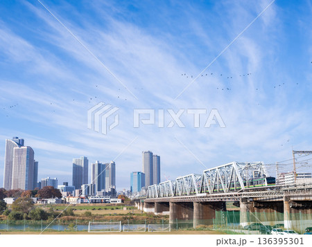 【湘南新宿ライン】早朝の東京方面へ向かう列車 136395301