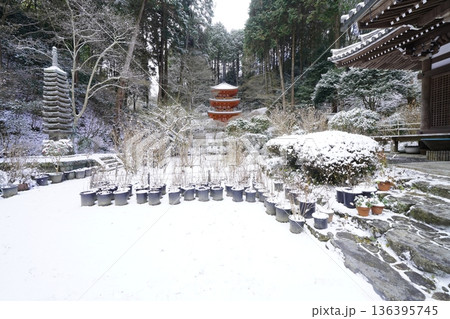 雪の降った日の多宝塔 136395745