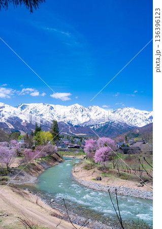 【春素材】白馬村の春 大出の吊橋【長野県】 【春素材】白馬村の春 大出の吊橋【長野県】 136396123