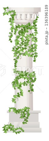 Vine climbing on stone column. Old realistic pillar 136396189