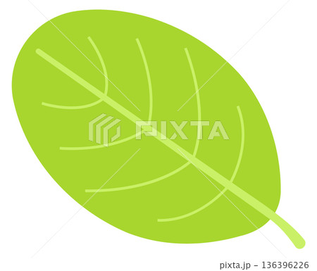 Tree leaf icon. Bio symbol. Nature sign 136396226