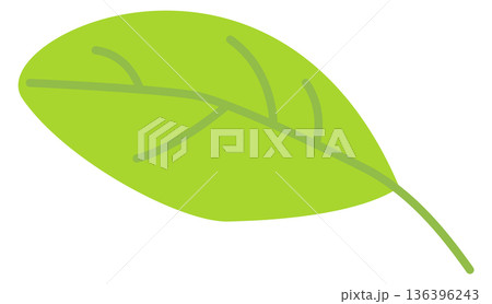 Green leaf drawing. Summer tree foliage icon Green leaf drawing. Summer tree foliage icon 136396243