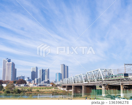 【湘南新宿ライン】早朝の東京方面へ向かう列車 136396278