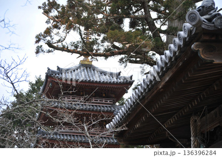 京都　海住山寺の五重塔 136396284
