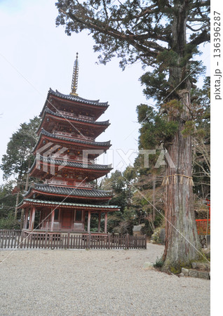 京都　海住山寺の五重塔 136396287