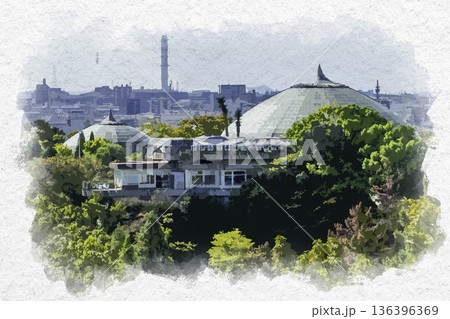 水彩画風 姫路 姫路市立手柄山温室植物園 兵庫県姫路市 水彩画風 姫路 姫路市立手柄山温室植物園 兵庫県姫路市 136396369