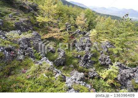 群馬県 浅間山 スカイロックトレイルの高台から鬼の押出し溶岩を見る 2025年10月18日 群馬県 浅間山 スカイロックトレイルの高台から鬼の押出し溶岩を見る 2025年10月18日 136396409