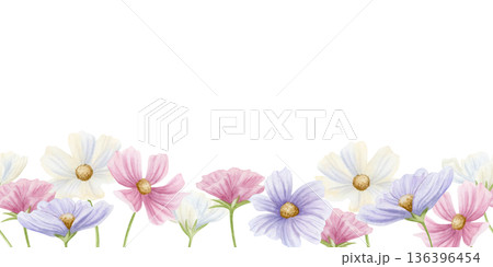 Watercolor blooming spring flowers seamless border on white. Horizontal floral repeat banner with cosmos wildflowers in pink, white and pastel purple colors for delicate botanical designs Watercolor blooming spring flowers seamless border on white. Horizontal floral repeat banner with cosmos wildflowers in pink, white and pastel purple colors for delicate botanical designs 136396454