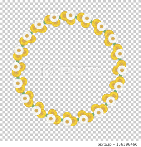 Daisy circular frame illustration Daisy circular frame illustration 136396460