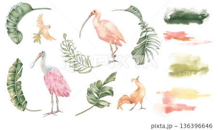 Tropical clipart illustrations of animals plant leaf and watercolor splash isolated white. Exotic bird jungle theme for birthday card, design beach style. Botanical drawing with foliage, parrot, ibis. Tropical clipart illustrations of animals plant leaf and watercolor splash isolated white. Exotic bird jungle theme for birthday card, design beach style. Botanical drawing with foliage, parrot, ibis. 136396646