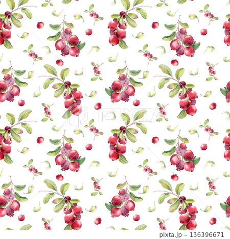 Lingonberry hand drawn watercolor seamless pattern isolated on white. Cranberry background for textile print. Decorative botany seamless texture. Nature red fresh berry design for kitchen wallpaper. Lingonberry hand drawn watercolor seamless pattern isolated on white. Cranberry background for textile print. Decorative botany seamless texture. Nature red fresh berry design for kitchen wallpaper. 136396671