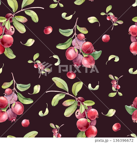 Vibrant botanical seamless pattern with clusters red berries on branches on dark. Fresh lingonberry and cranberry hand drawn. Wild northern wild fruits repeat for superfood packaging or fabric design. Vibrant botanical seamless pattern with clusters red berries on branches on dark. Fresh lingonberry and cranberry hand drawn. Wild northern wild fruits repeat for superfood packaging or fabric design. 136396672