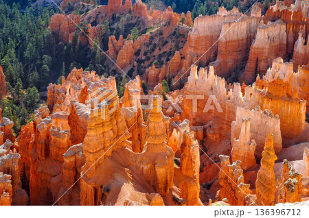 Exploration of Bryce Canyon in the USA during daylight hours Exploration of Bryce Canyon in the USA during daylight hours 136396712