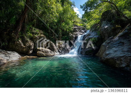 A waterfall cascading into a natural freshwater pool amidst lush rainforest, creating a serene and invigorating natural escape. A waterfall cascading into a natural freshwater pool amidst lush rainforest, creating a serene and invigorating natural escape. 136396811