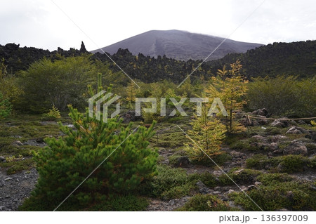 群馬県浅間山　スカイロックトレイルの吾妻火砕流上を通過中の景色　背景に浅間山2025年10月18日 136397009