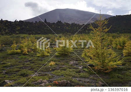 群馬県浅間山　スカイロックトレイルの吾妻火砕流上を通過中の景色　背景に浅間山2025年10月18日 136397016