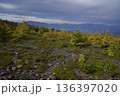 群馬県浅間山　スカイロックトレイルの吾妻火砕流上を通過中の景色　2025年10月18日 136397020