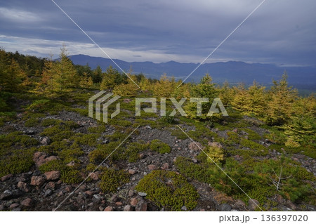 群馬県浅間山　スカイロックトレイルの吾妻火砕流上を通過中の景色　2025年10月18日 136397020