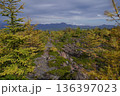 群馬県浅間山　スカイロックトレイルの吾妻火砕流上を通過中の景色　2025年10月18日 136397023