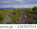 群馬県浅間山　スカイロックトレイルの吾妻火砕流上を通過中の景色　2025年10月18日 136397024