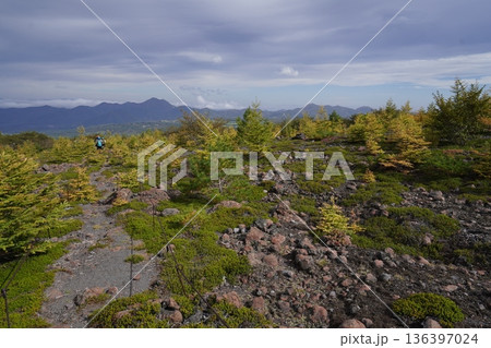 群馬県浅間山　スカイロックトレイルの吾妻火砕流上を通過中の景色　2025年10月18日 136397024