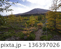 群馬県浅間山　スカイロックトレイルの吾妻火砕流上を通過中の景色　背景に浅間山2025年10月18日 136397026