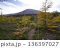 群馬県浅間山　スカイロックトレイルの吾妻火砕流上を通過中の景色　背景に浅間山2025年10月18日 136397027